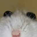 luci_suckz