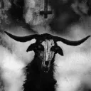 gorga666