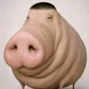 canavarotm