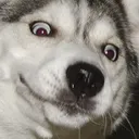 w_moonmoon