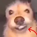 dikkedoffo