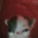 avatar sei