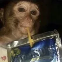 tdw