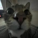 boozebiscuit527