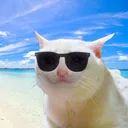 simpleamphet