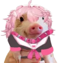 nek0tera