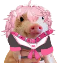 nek0tera
