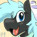 wondercolt69