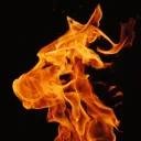 firedog007