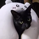 tonberrybleu