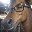 LootX8's Avatar