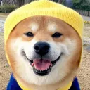 sam246337687