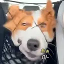 byulbean