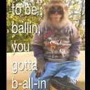 slothfuldane