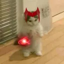 axelxyfer