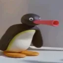 nootnoot115