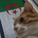 ryanz213