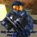 maskedhornet13