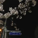 hxsmel