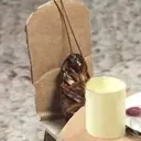 littlemisstardis