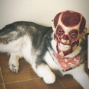 mdbombz#4595's avatar