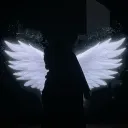 d4npablo
