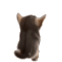 Mathieu