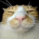 mathieugoat