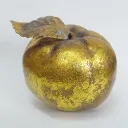 irynis