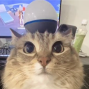 mestermiyagi