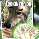 ascendingdreams#7573's avatar