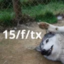 15femaletexas