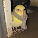 lilbiter