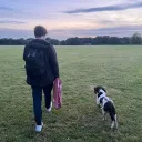 bigdogharry