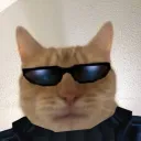 notyourwig