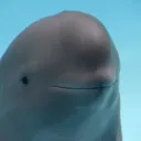 ackshual