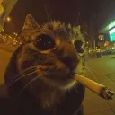 _winkysadface_