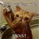 __moist__