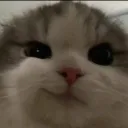 kim_2319