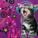 avatar BungeeBingleton