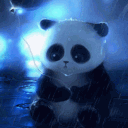 avatar LunaPanda