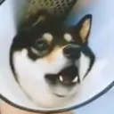 ayn4rch