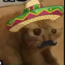 weeking