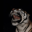 avatar 37𝑳𝒖𝒊𝒔