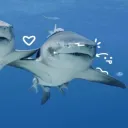 chokeonwater