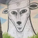 huiskerz
