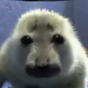 sneaklone