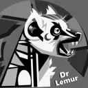 .drlemur
