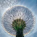 mrsunshine1114 avatar