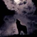 lonewolf0545